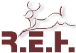 R.E.H. Regenerative Energien und Haus GmbH & Co. KG